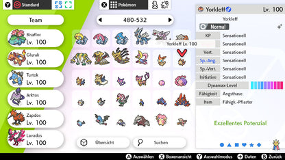 #506 Yorkleff SnS