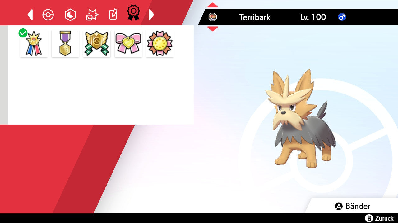 #507 Terribark SnS