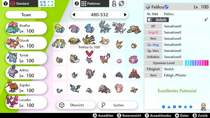 #509 Felilou SnS
