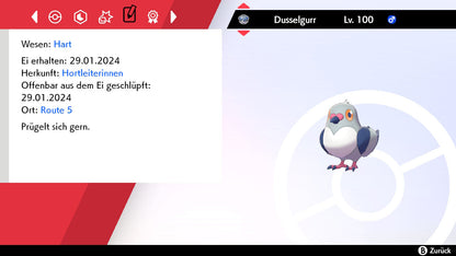 #519 Dusselgurr SnS