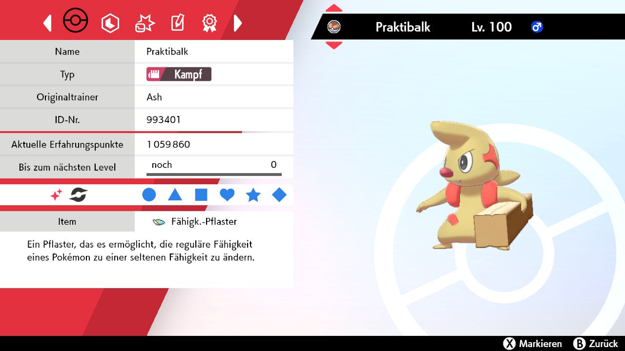 #532 Praktibalk SnS