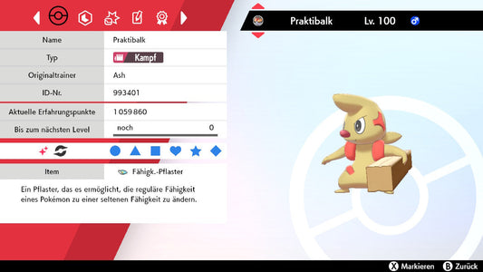 #532 Praktibalk SnS
