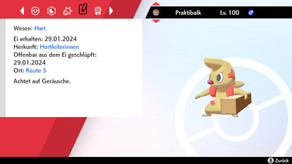 #532 Praktibalk SnS