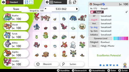 #533 Strepoli SnS