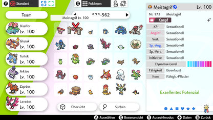#534 Meistagrif SnS