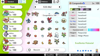 #545 Cerapendra SnS