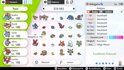#553 Rabigator SnS