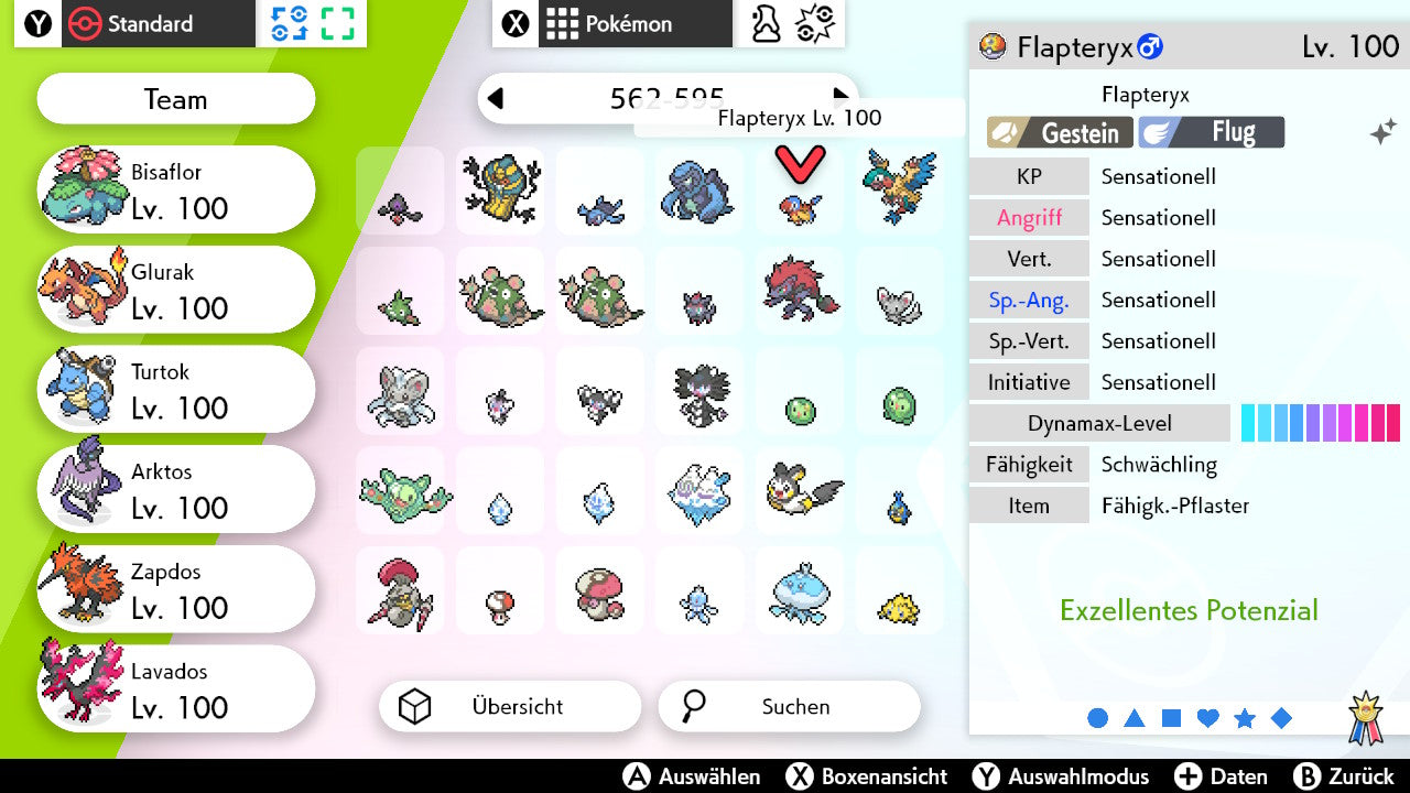 #566 Flapteryx SnS