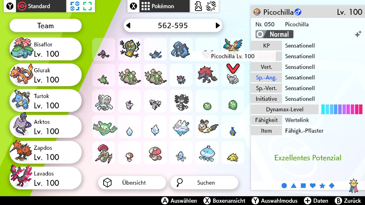 #572 Picochilla SnS