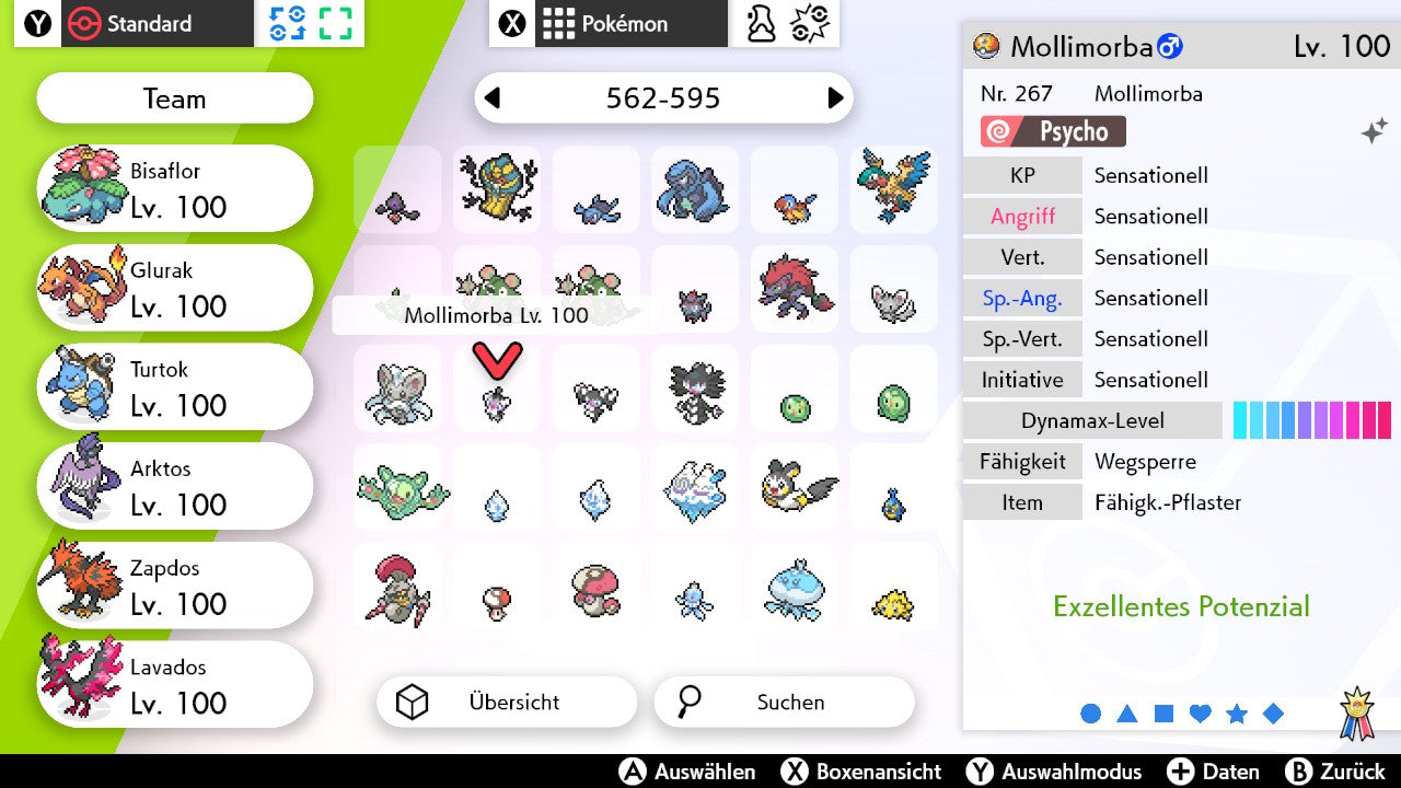 #574 Mollimorba SnS