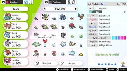 #582 Gelatini SnS