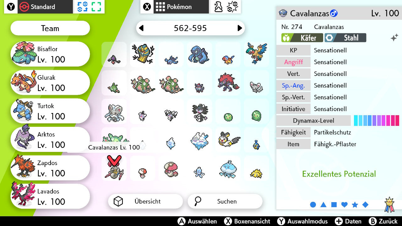 #589 Cavalanzas SnS