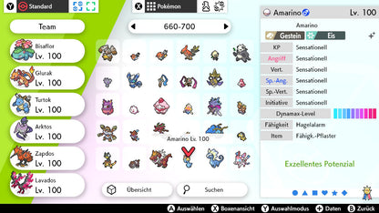 #698 Amarino SnS
