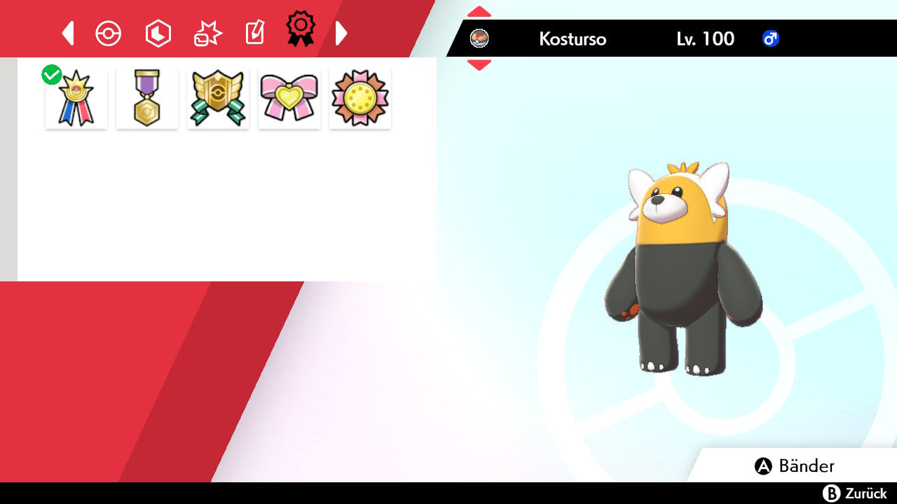 #760 Kosturso SnS