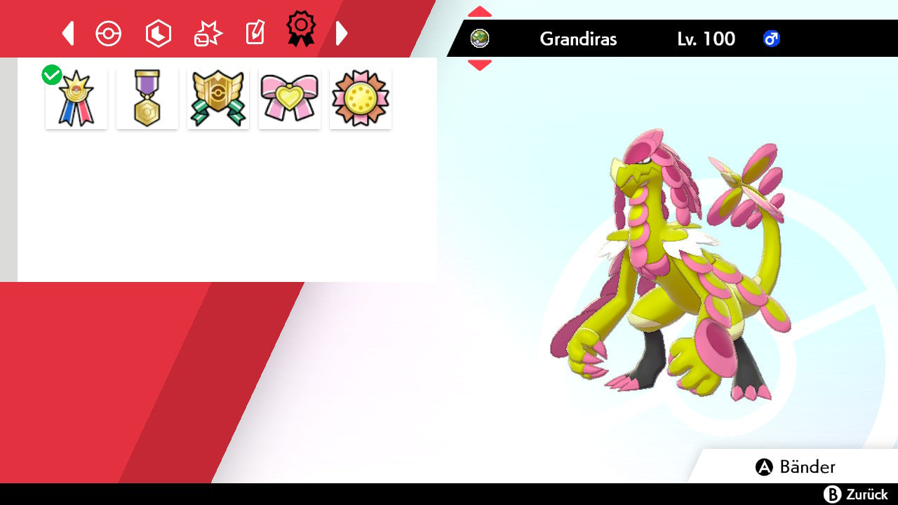#784 Grandiras SnS