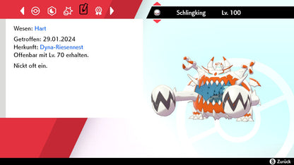 #799 Schlingking SnS