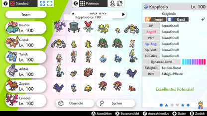 #806 Kopplosio SnS
