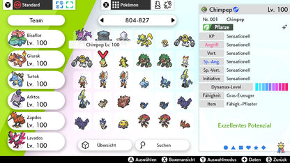 #810 Chimpep SnS