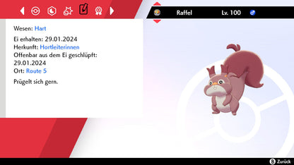 #819 Raffel SnS