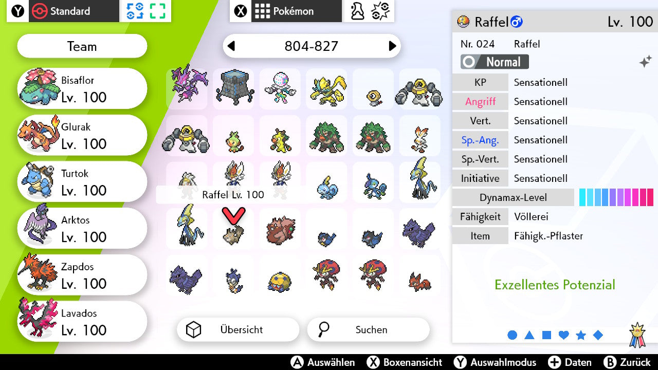 #819 Raffel SnS