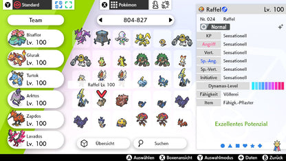 #819 Raffel SnS