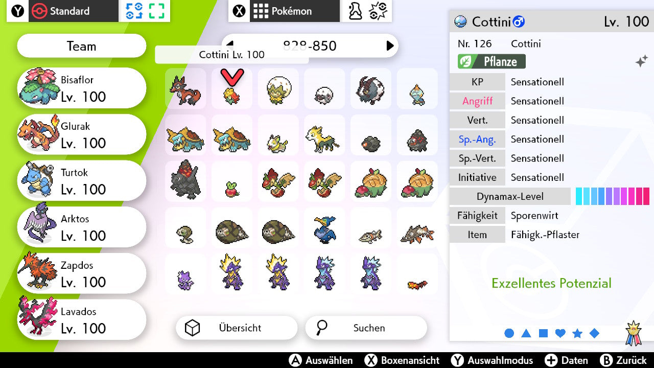 #829 Cottini SnS