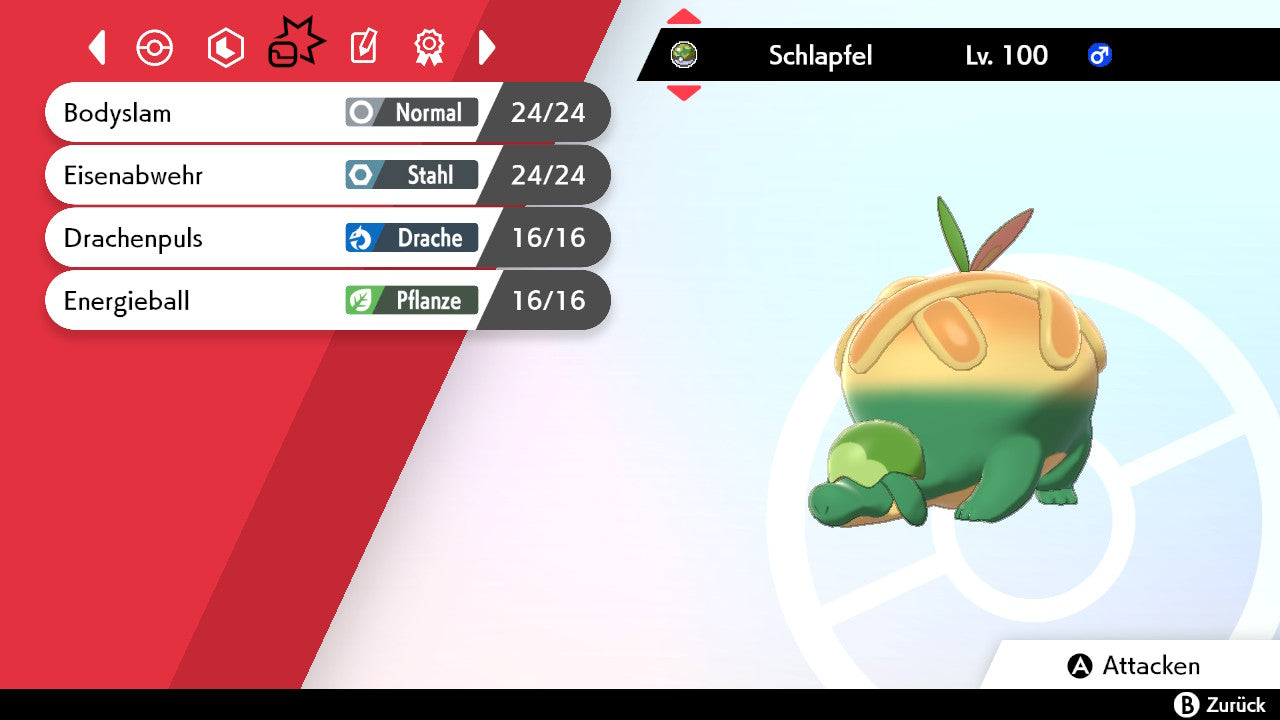 #842 Schlapfel SnS