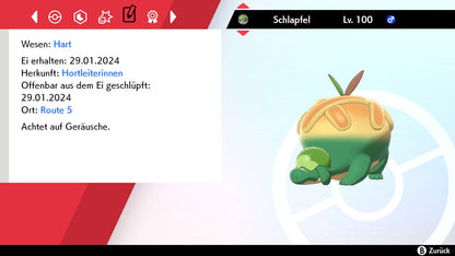 #842 Schlapfel SnS