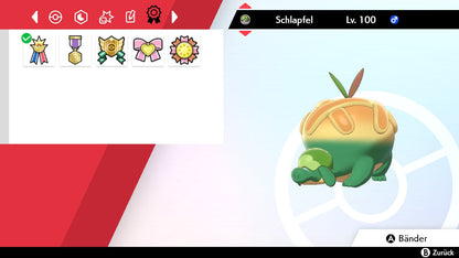 #842 Schlapfel SnS