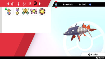 #847 Barrakiefa SnS