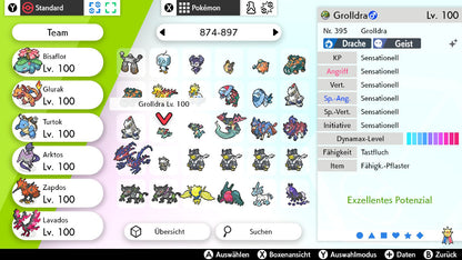 #885 Grolldra SnS