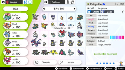 #887 Katapuldra SnS