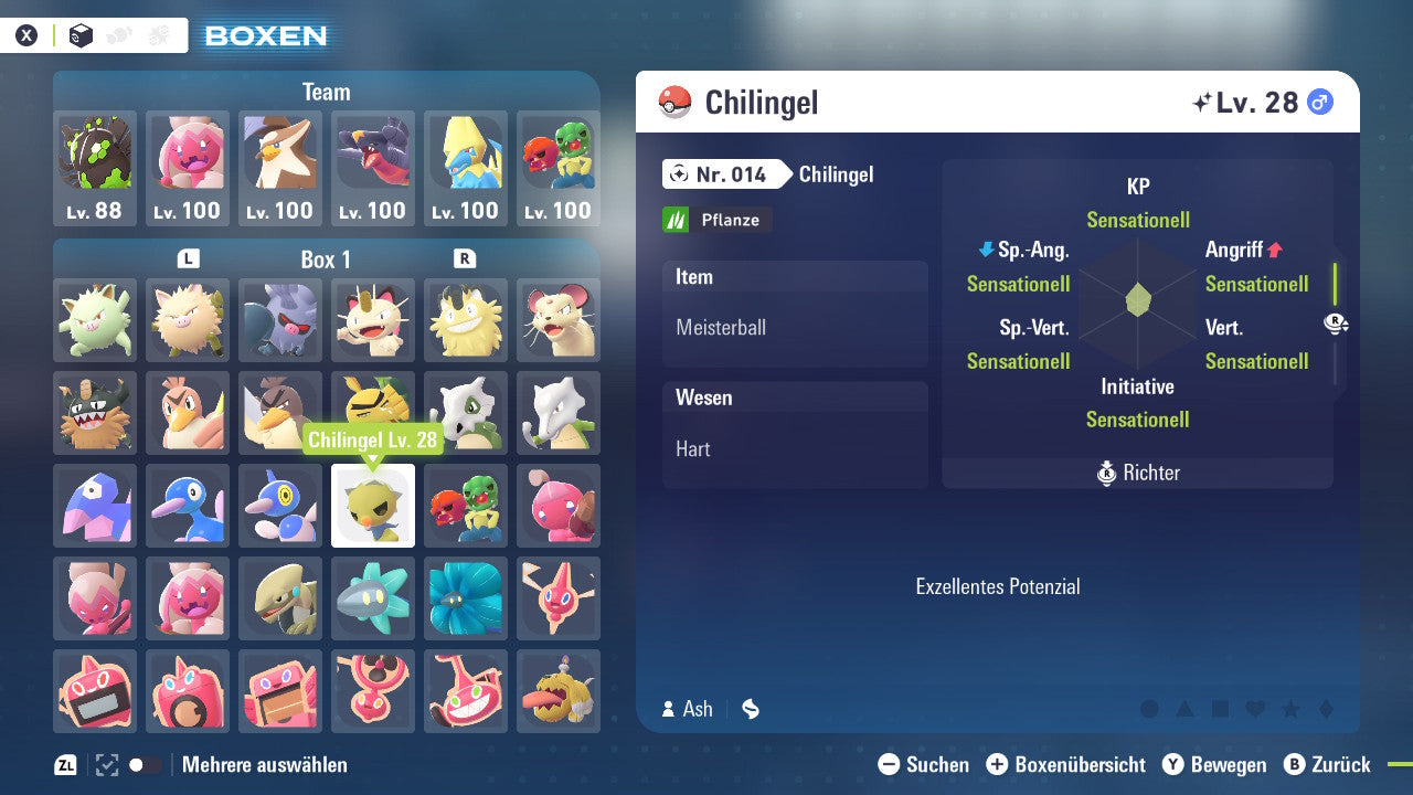 #951 Chilingel PVE ZA