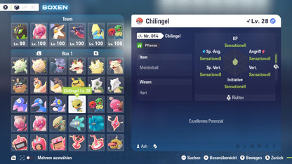 #951 Chilingel PVE ZA