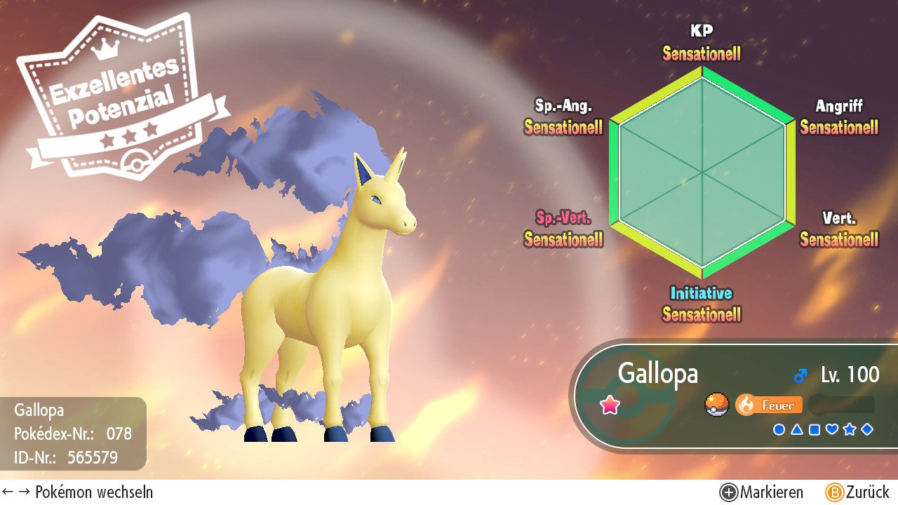 #078 Gallopa