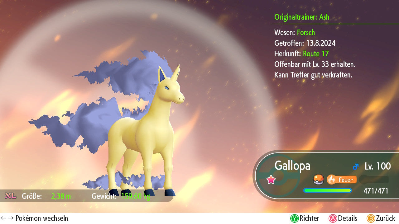 #078 Gallopa
