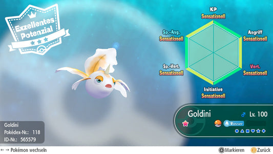#118 Goldini LGPE