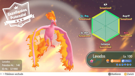 #146 Lavados LGPE