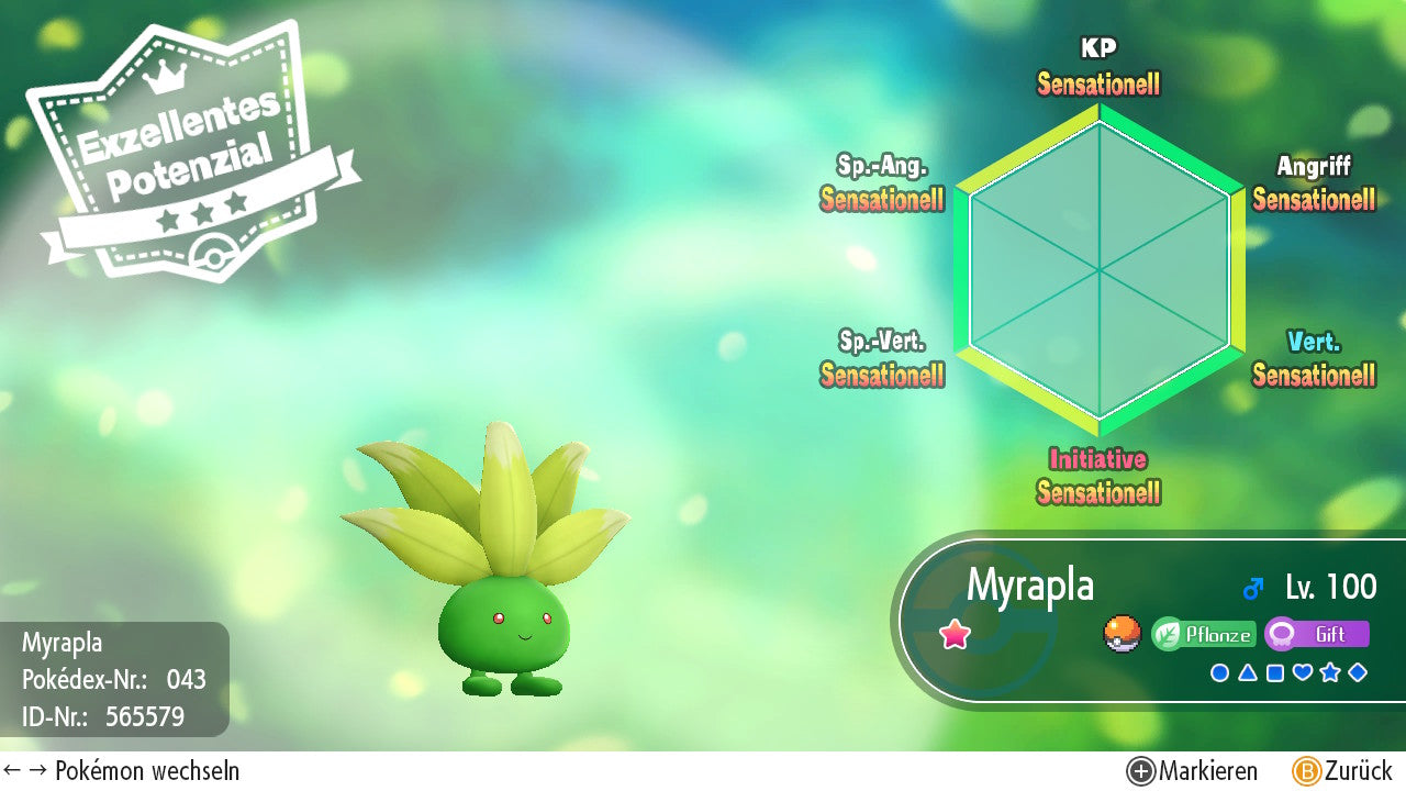 #043 Myrapla