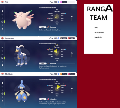 Ranked Team Nr. 10: #036 Pixi #229 Hundemon #308 Meditalis PVP ZA
