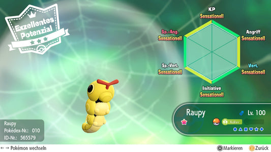 #010 Raupy