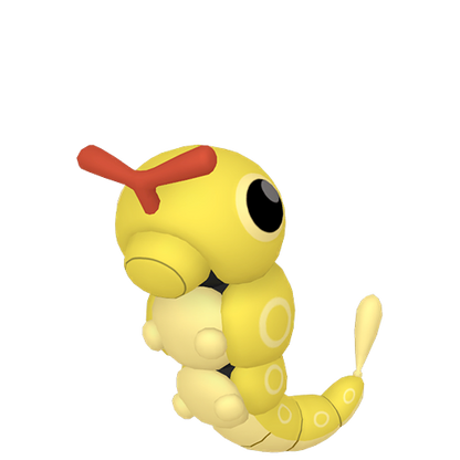 #010 Raupy SnS