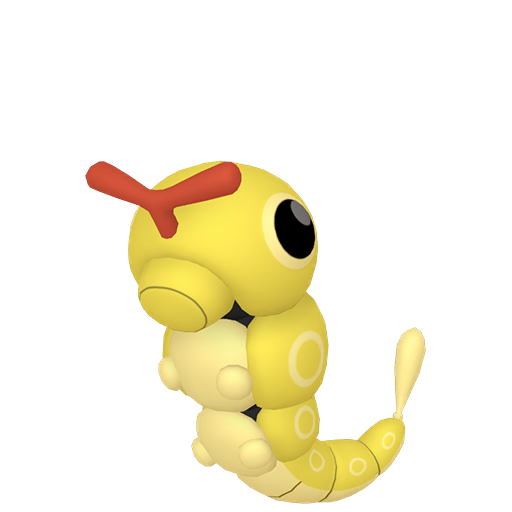 #010 Raupy SnS