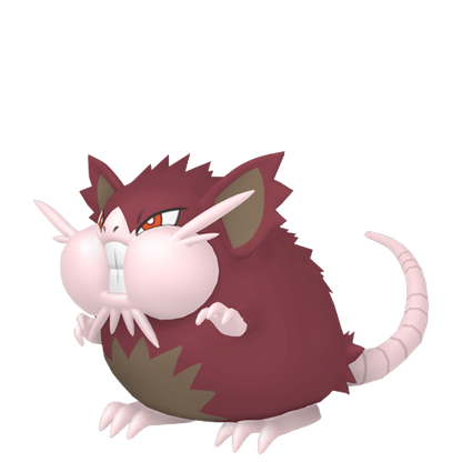 #020 Rattikarl-Alola