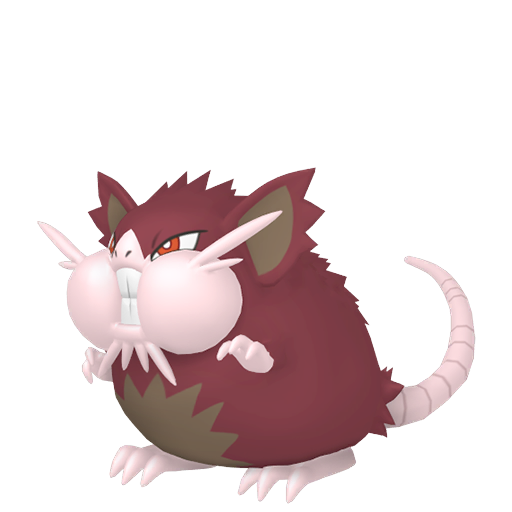 #020 Rattikarl-Alola
