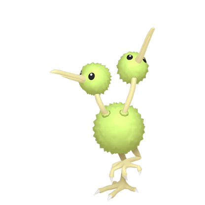 #084 Dodu