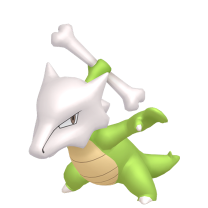 #105 Knogga LGPE