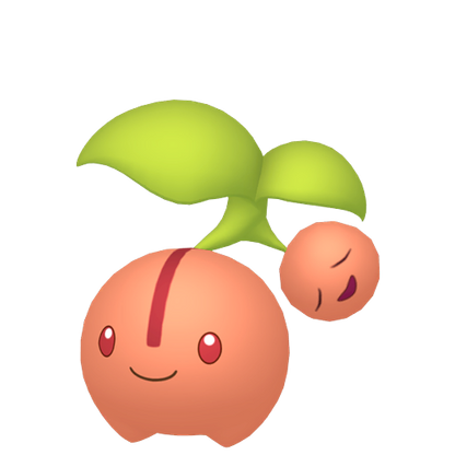 #420 Kikugi SnS