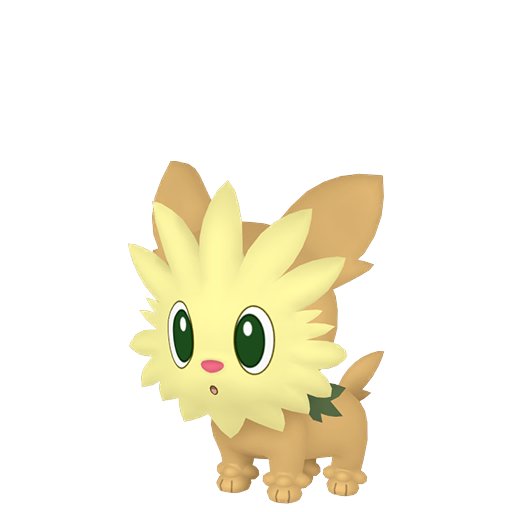 #506 Yorkleff SnS