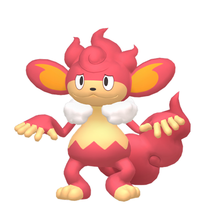 #514 Grillchita PVE ZA